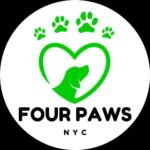 Four Paws NYC | Dog Boarding and Walking